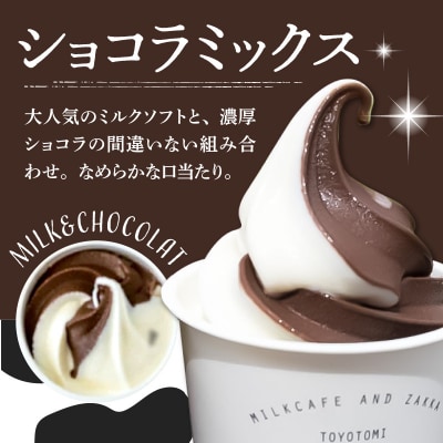 とよとみ牛乳ソフトクリーム パーティーサイズ【ミルク/ショコラミックス各1個1L(計2L)】|訳あり