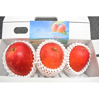 【良品】奄美完熟マンゴー約1kg
