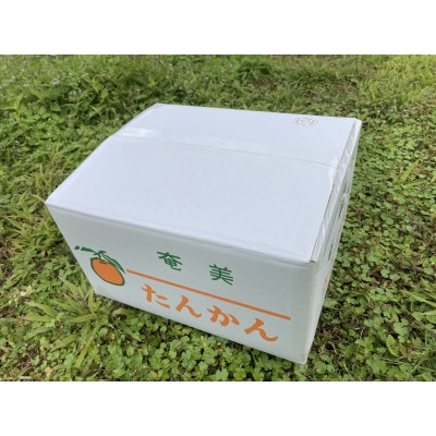 あまみのミカンたんかん 5kg入り