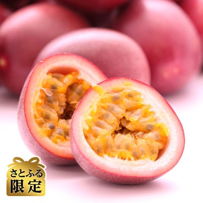 【さとふる限定】【2025年発送 先行受付分】奄美大島産 それいゆパッションフルーツ1kg