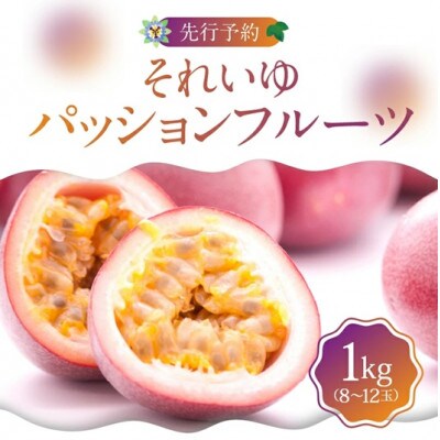 【2026年発送 先行受付分】奄美大島産 それいゆパッションフルーツ1kg