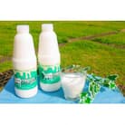 【奄美大島産】ヤギヨーグルト900ml×2本