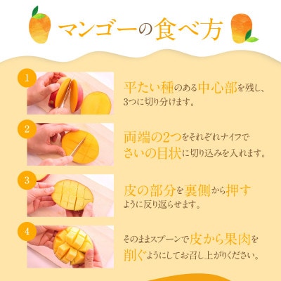 【2024年7月上旬より順次発送】【奄美大島産】それいゆマンゴー2kg