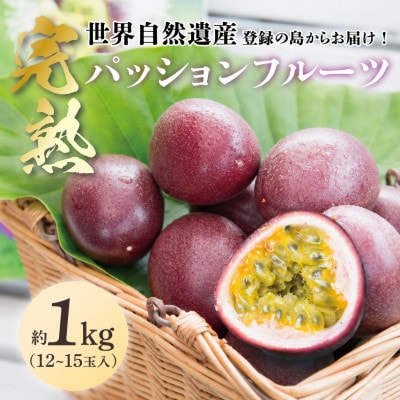 2027年発送【奄美大島産】パッションフルーツ (約1kg / 12～15玉入) ご家庭用