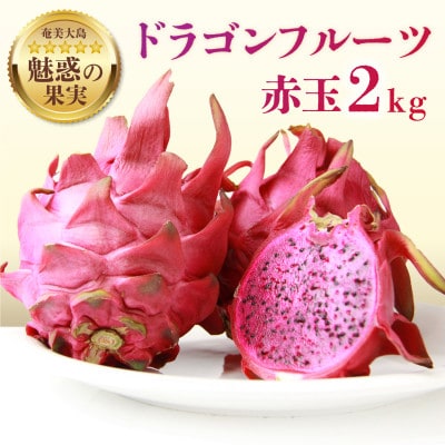 2026年発送【魅惑の果実】奄美大島産ドラゴンフルーツ(赤玉) 2.0kg