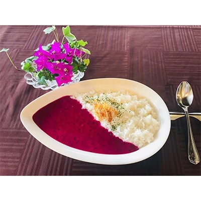 龍郷産ドラゴンフルーツのカレー200g 6食入り(ドラゴンフルーツ妖精人形 2体付き)
