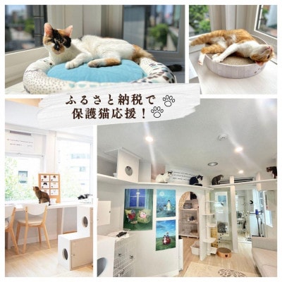 保護猫支援!応援ネームプレート NPO法人ちよだニャンとなる会 千代田区