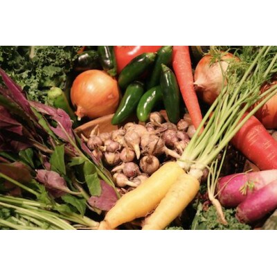 野菜たっぷり!24時間熟成ラザニア【4～6人前】※2～3人前×2個