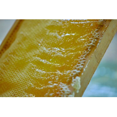 庭のはちみつ(夏)120g×1瓶　