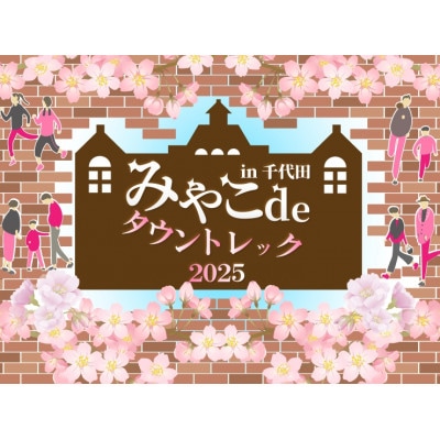 みやこdeタウントレックin千代田2025 参加チケット 大人1枚