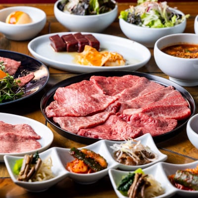 【焼肉 美かさ】《ディナー》ヒレカツサンド入りプレミアムコース 2名様分(ぐるなびセレクション)