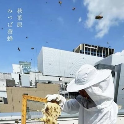 あきばちさん 計6個入り