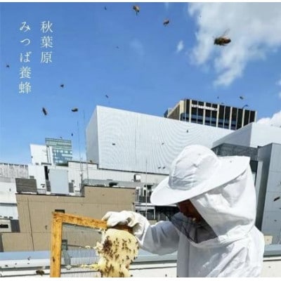 【秋葉原で採取された新鮮なはちみつを使用】あきばはちみつ　160g