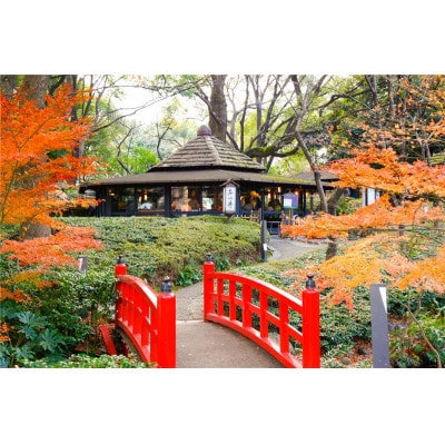 ホテルニューオータニ　石心亭　35,000円分お食事券