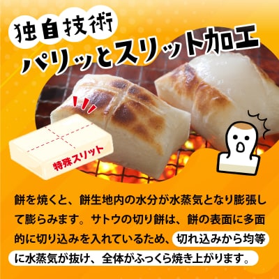 サトウの切り餅 パリッとスリット 4.0kg (400g×10袋)