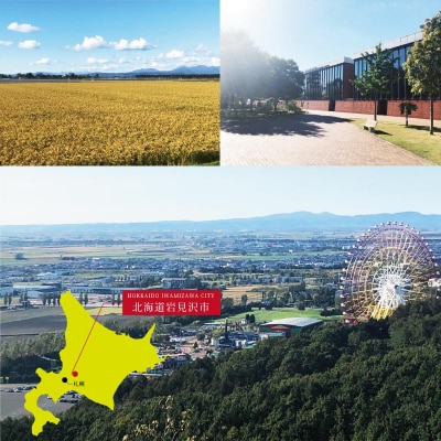 令和7年産!新米受付 北海道岩見沢産ななつぼし10kg※一括発送【01231】