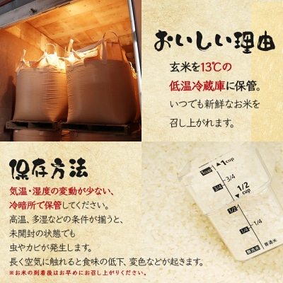 《令和7年産》お米 ななつぼし|5kg『100%自家生産精米』善生さんの自慢の米 ※一括発送