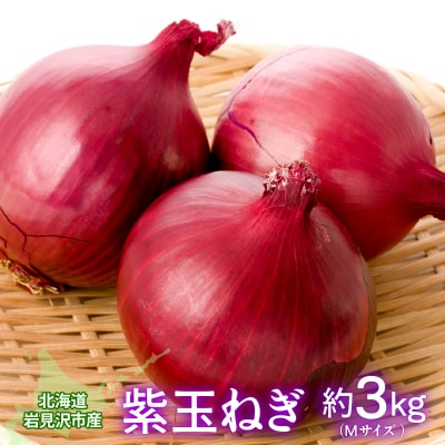 北海道岩見沢市産 紫玉ねぎ20個