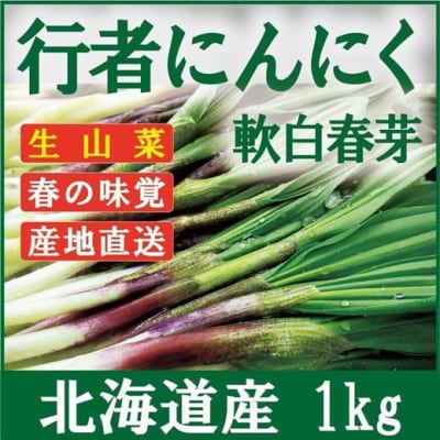 令和7年産 行者にんにく芽 (生) 1kg ≪数量限定・3/31締め切り≫ 【09121】