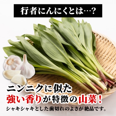 行者にんにく ぴりから醤油漬け 2瓶