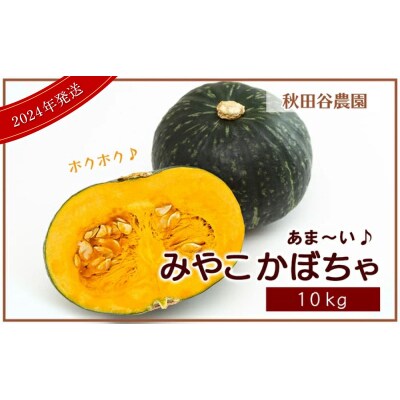 秋の味覚☆あま～い かぼちゃ みやこ 10kg【秋田谷農園】