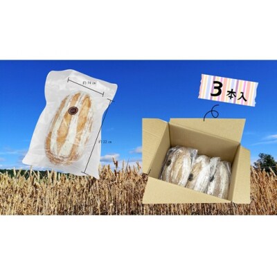 キタノカオリ小麦のカンパーニュ3本セット