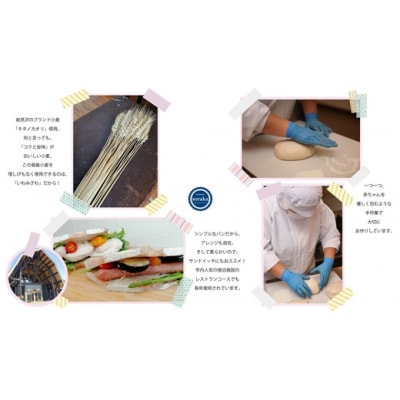 キタノカオリ小麦のカンパーニュ3本セット