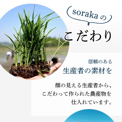 『きな粉くるみ』素朴でおいしい、岩見沢産のきなこ使用。10袋セット