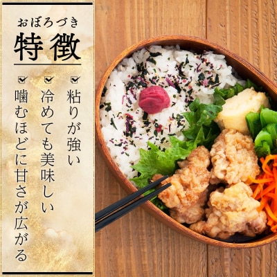 令和7年産北海道岩見沢市産　おぼろづき10kg ≪沖縄・離島配送不可≫