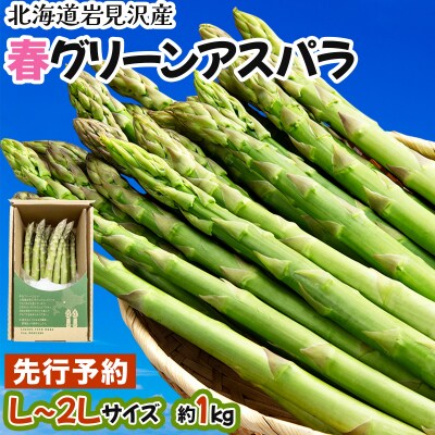 【先行受付/令和8年産】北海道岩見沢産　春グリーンアスパラ　2Lサイズ 1kg