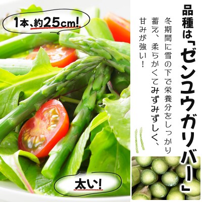 【先行受付/令和8年産】北海道岩見沢産　春グリーンアスパラ　2Lサイズ 1kg