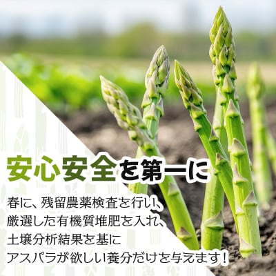 【令和8年産】北海道岩見沢産　春グリーンアスパラ　2Lサイズ 1kg