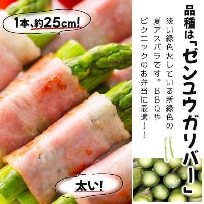 【先行受付/令和8年産】北海道岩見沢産　夏グリーンアスパラ　L～2Lサイズ 1kg