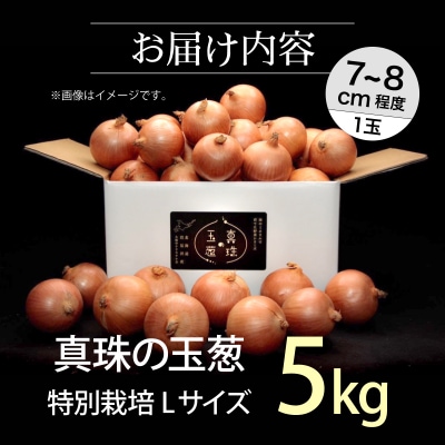 真珠の玉葱 特別栽培Lサイズ5kg≪海のミネラルで育てた特別栽培玉葱≫