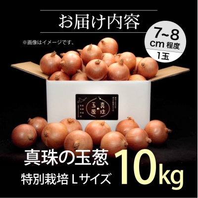 真珠の玉葱 特別栽培Lサイズ10kg≪海のミネラルで育てた特別栽培玉葱≫