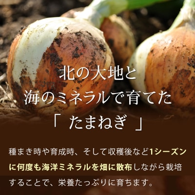 真珠の玉葱 Lサイズ5kg≪海のミネラルで育てた玉葱≫