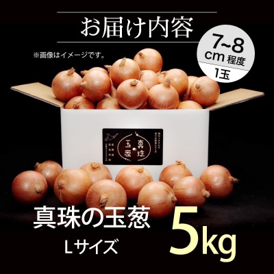 真珠の玉葱 Lサイズ5kg≪海のミネラルで育てた玉葱≫