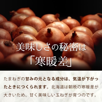 真珠の玉葱 Lサイズ10kg≪海のミネラルで育てた玉葱≫