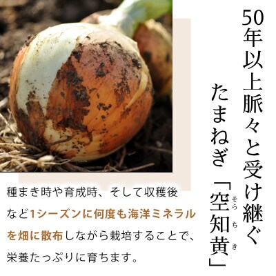 真珠の玉葱　空知黄　5kg≪海のミネラルで育てた玉葱空知黄≫