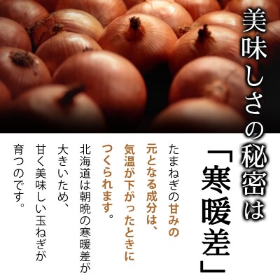 真珠の玉葱　空知黄　5kg≪海のミネラルで育てた玉葱空知黄≫