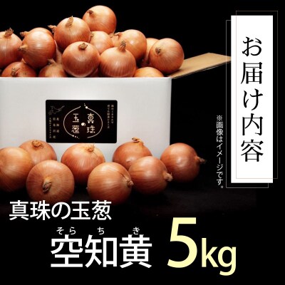 真珠の玉葱　空知黄　5kg≪海のミネラルで育てた玉葱空知黄≫