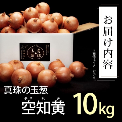 真珠の玉葱 空知黄10kg≪海のミネラルで育てた玉葱空知黄≫