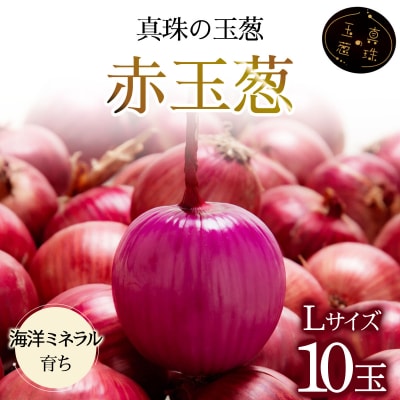 真珠の玉葱 赤玉葱Lサイズ10玉≪海のミネラルで育てた特別栽培玉葱≫ a134-007