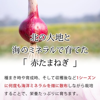 真珠の玉葱 赤玉葱Lサイズ10玉≪海のミネラルで育てた特別栽培玉葱≫ a134-007