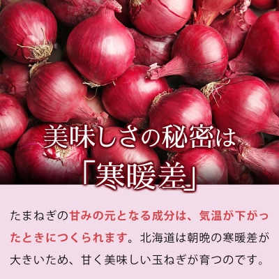 真珠の玉葱 赤玉葱Lサイズ10玉≪海のミネラルで育てた特別栽培玉葱≫ a134-007