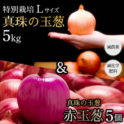 真珠の玉葱 特別栽培Lサイズ5kg(赤玉葱5個入り) a134-008