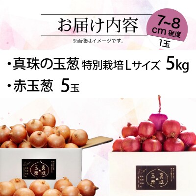 真珠の玉葱 特別栽培Lサイズ5kg(赤玉葱5個入り) a134-008