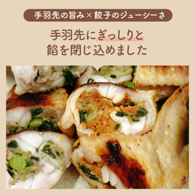 北海道産鶏肉を使った手羽餃子15個セット(5個×3袋)≪配送地域限定≫