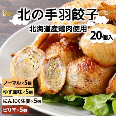 北海道産鶏肉を使った手羽先餃子20個セット(5個×4袋)≪配送地域限定≫