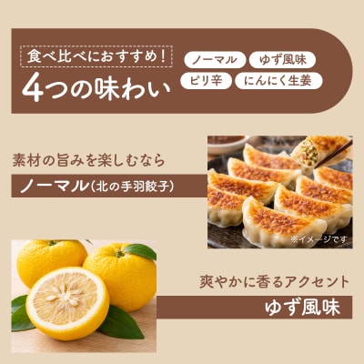 北海道産鶏肉を使った手羽餃子20個セット(5個×4袋)≪配送地域限定≫
